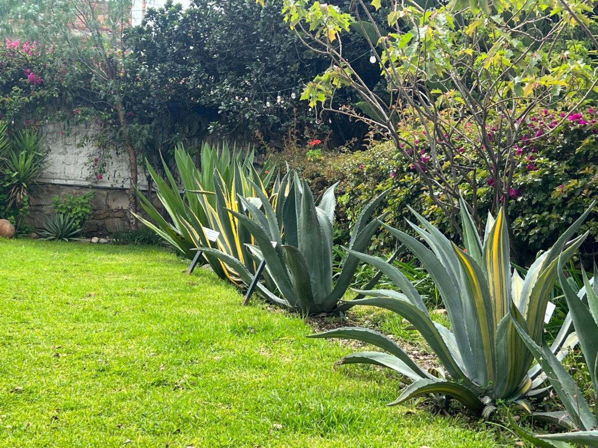 Casona Lara Lodge & Distillery Caraz エクステリア 写真